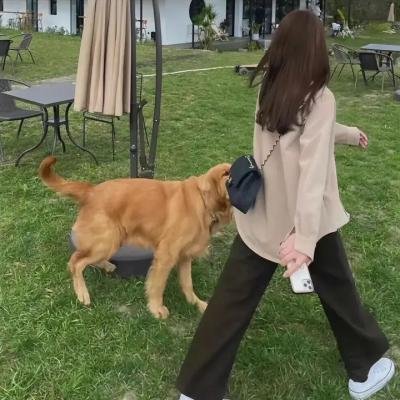沙漠血吻